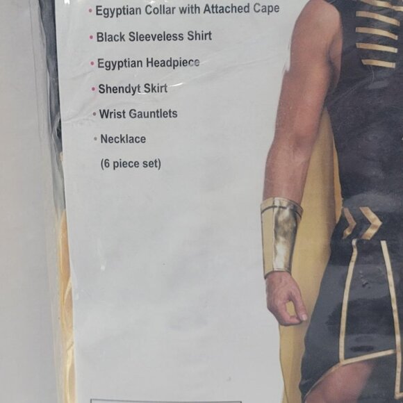 Dreamguy Costume King of Egypt Adult Mens Size Large Halloween Cosplay NIP - Picture 2 of 3